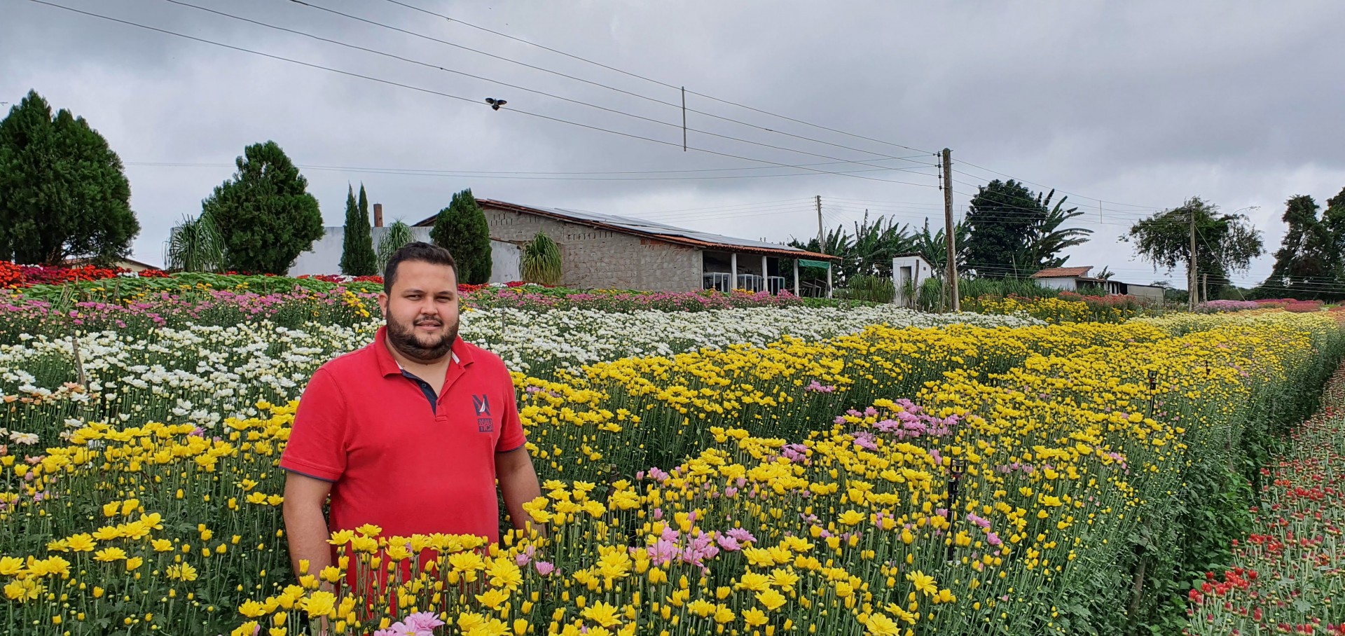 Matheus Fogaça, da Flora Fogaça, produtora de flores em São Benedito, na Serra da Ibiapaba(Foto: Armando de Oliveira Lima)