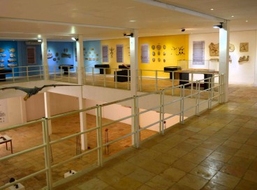 Museu de Paleontologia Plácido Cidade Nuvens, em Santana do Cariri 