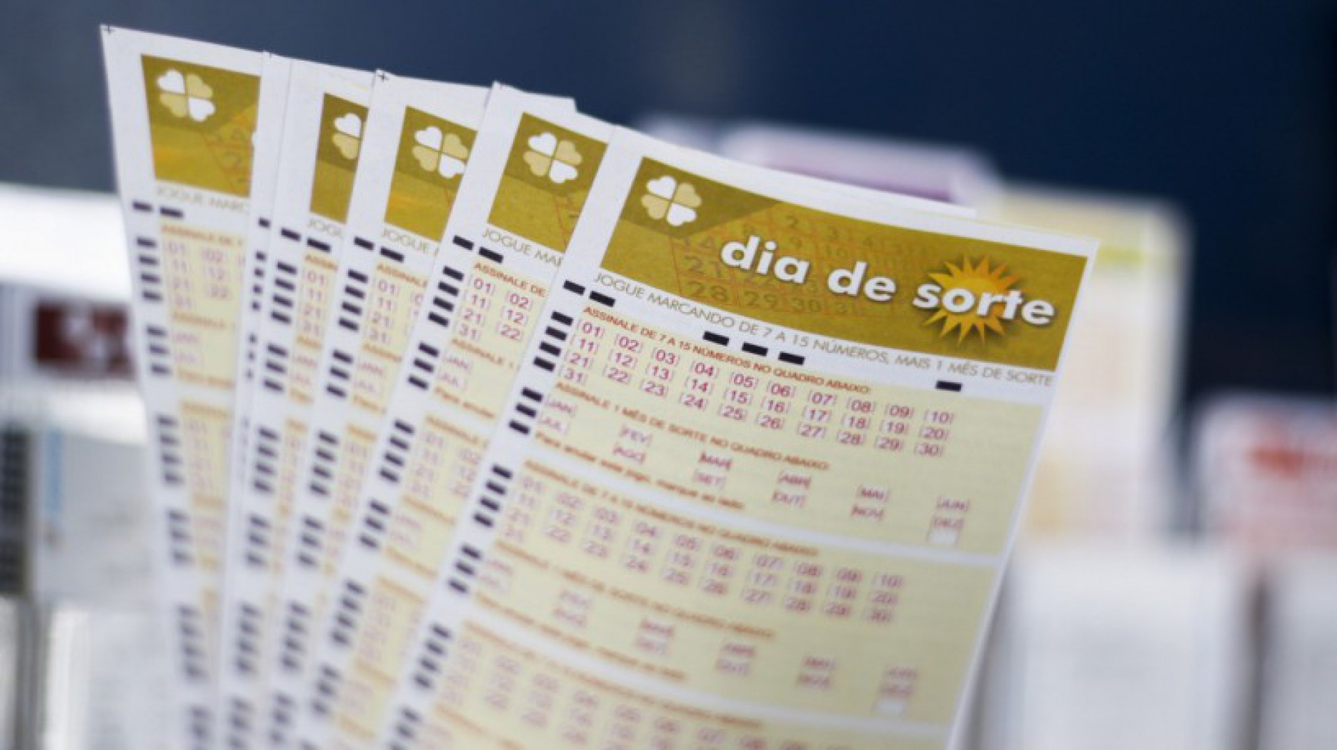 jogo para testar sua sorte, 25 Da Sorte