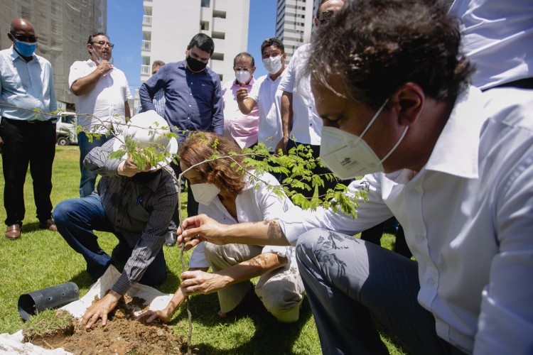 ￼CAMILO Santana e Izolda Cela plantaram mudas de árvore