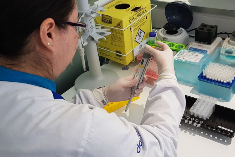 Procedimento de extração de DNA