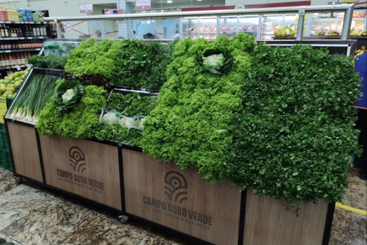 Nebulizadores para garantir microclima