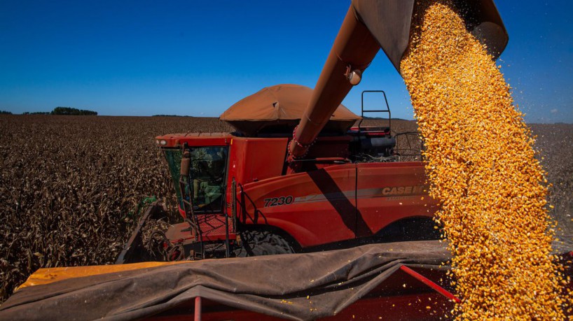 Em junho foram abertos 26 novos mercados agr&iacute;colas 