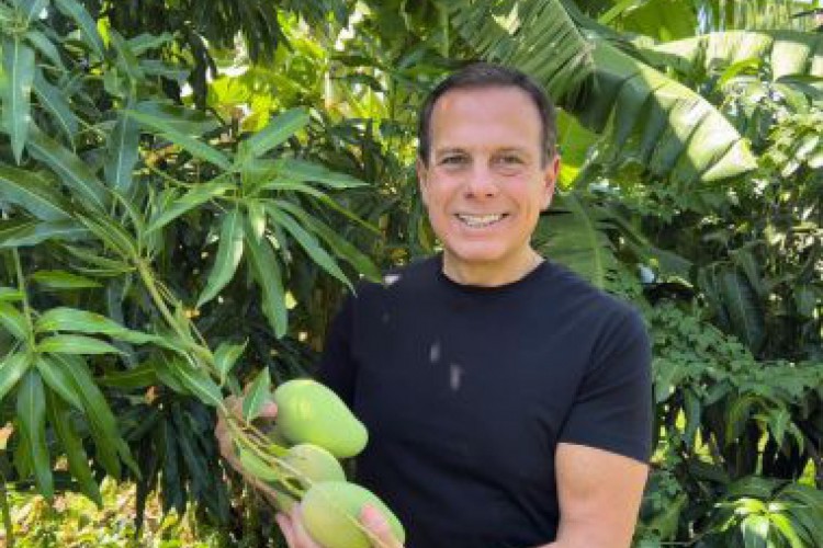 Doria viaja para interior da Bahia, dança e agradece a conterrâneos