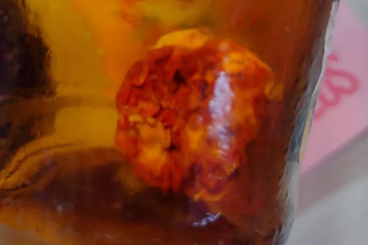 Objeto suspeito encontrado no fundo de uma garrafa de cerveja, no litoral de São Paulo