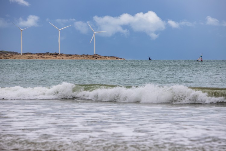 Cenário atual de eólicas no litoral de Amontada (CE)(Foto: FCO FONTENELE)