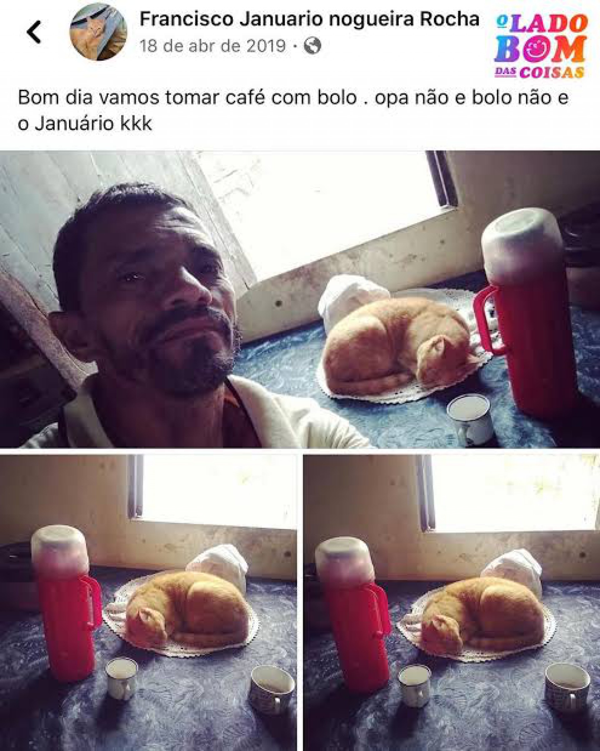 Januário ficou famoso em abril de 2019, quando Carlos publicou uma imagem da mesa de café da manhã, com o gatinho dormindo em cima da toalha onde deveria estar um bolo