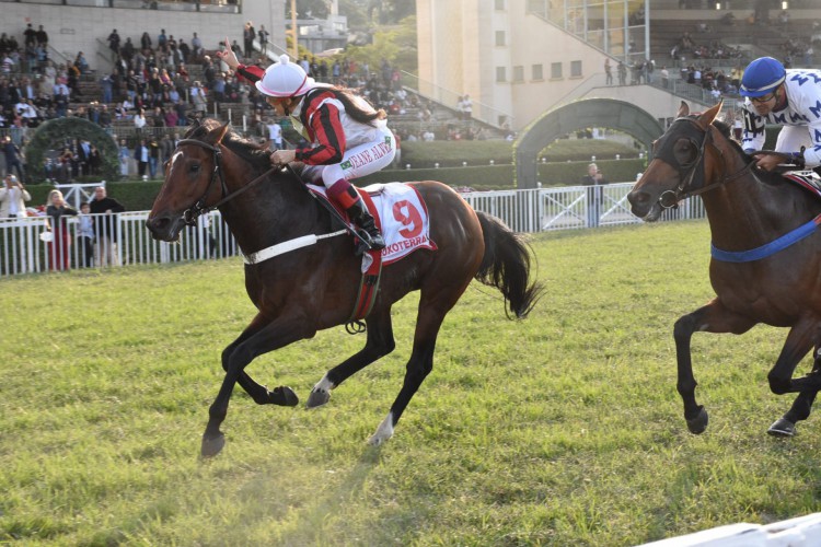 Cearense Jeane Alves foi a primeira mulher a vencer o Grande Prêmio São Paulo de Turfe