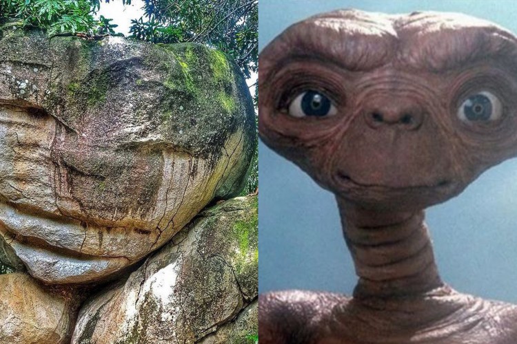 A pedra que assemelha a um ET fica na chácara das Flores, em Roraima