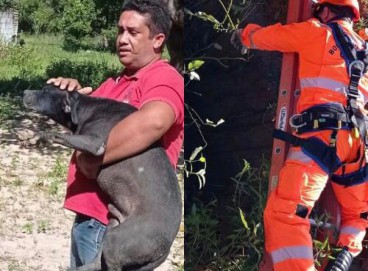 Animal foi resgatado com vida e sem lesões aparentes, segundo o Corpo de Bombeiros  