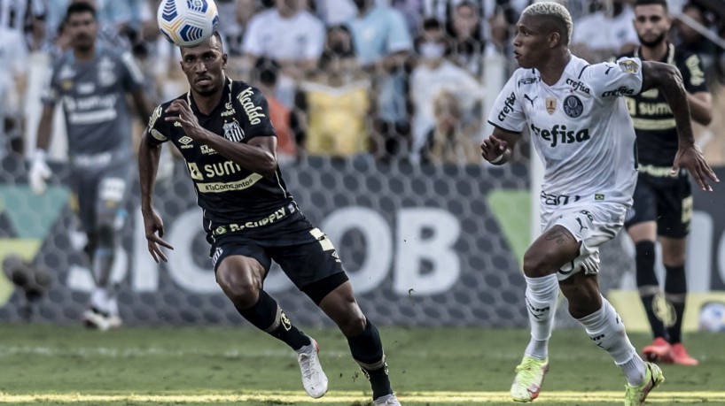 Santos x Palmeiras ao vivo e online, onde assistir, que horas é, escalação e  mais do Brasileirão