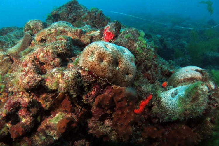 Parque Pedra da Risca do Meio completa, em 2022, 25 anos de criação
