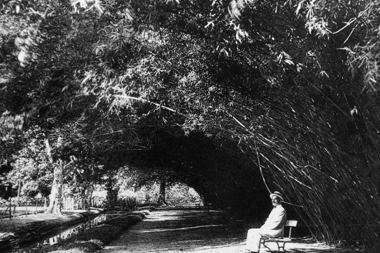 Jardim Botânico do Rio expõe imagens da missão belga de 1922 ao Brasil
