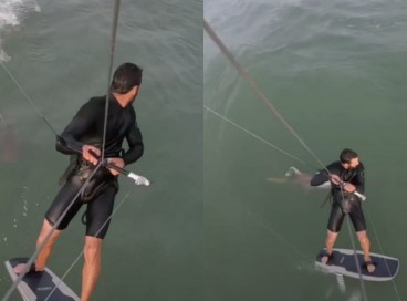 Kitesurfista foi perseguido por tubarão em alto mar; assista ao vídeo 