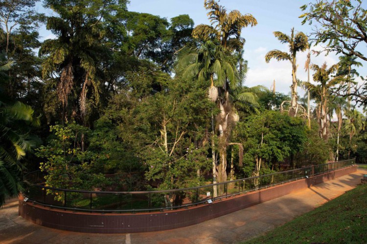 Instituto Butantan. Local: São Paulo/SP Data: 26/03/2019 Foto: Governo do Estado de São Paulo