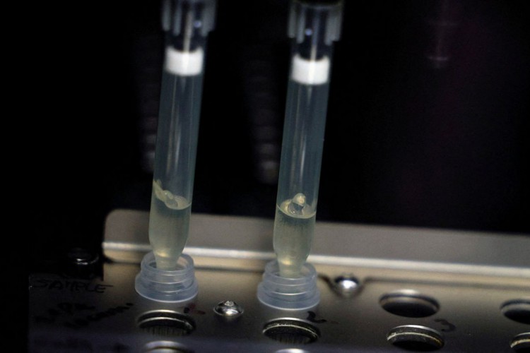 Governo divulga nota técnica com orientações sobre varíola dos macacos