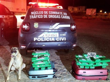 Droga foi encontrada com auxílio de um cão farejador. Ilícito estava no bagageiro do ônibus 