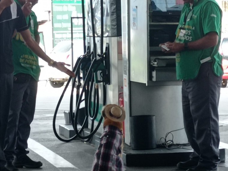 Lorim é um sucesso com os clientes
