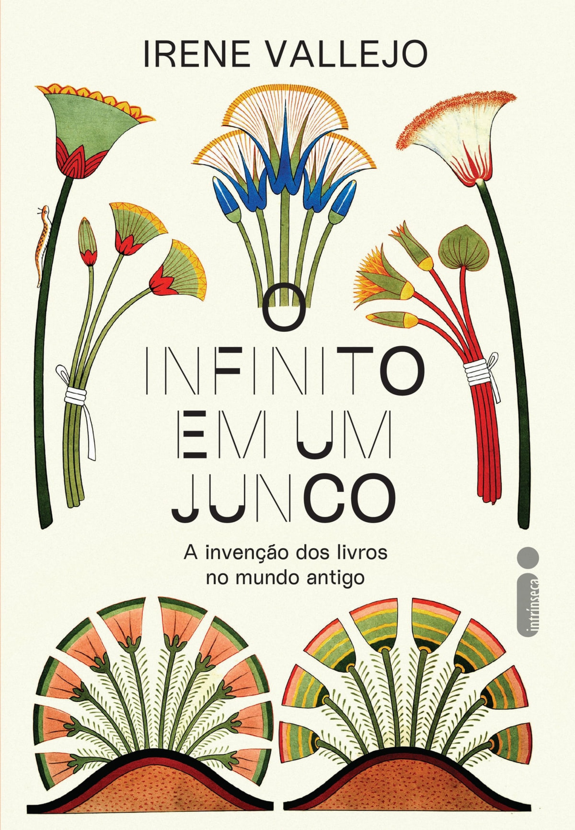  O Infinito em um Junco, publicado no Brasil pela editora Intrínseca (Foto: Divulgação)