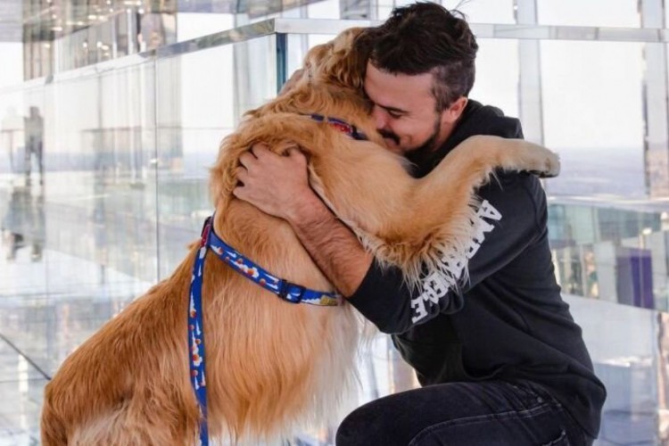 Cachorro foi cremado ainda nos Estados Unidos, por conta de uma exigência da legislação internacional