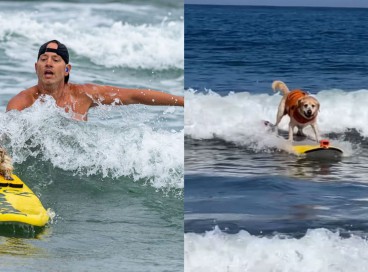 m dos atletas mais esperados da competição foi o labrador Charlie, que já surfa há 2 anos.  