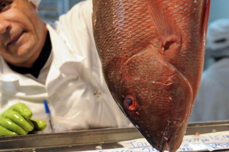 Semana do Pescado quer criar nova temporada de consumo no 2º semestre