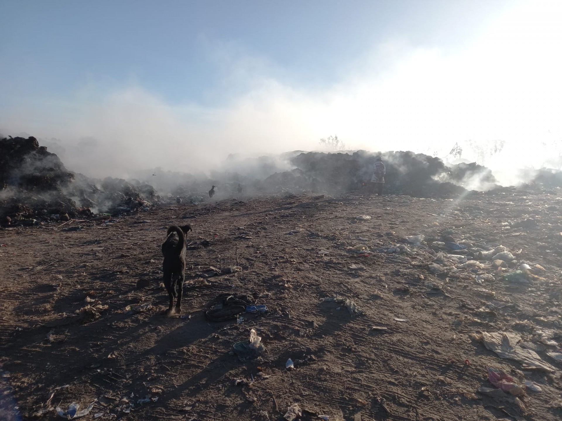 Inc&ecirc;ndio atinge lix&atilde;o da cidade de Pacajus, chama iniciaram na tarde desse domingo, 21.