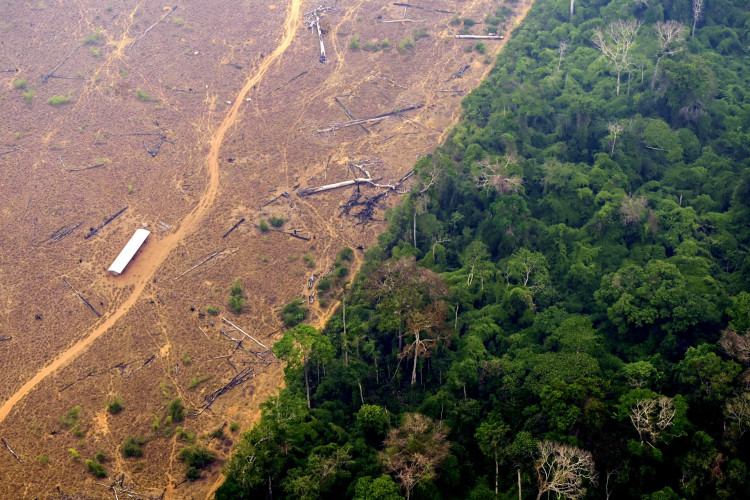 Vista de uma &aacute;rea desmatada e queimada da floresta amaz&ocirc;nica na regi&atilde;o de L&aacute;brea, estado do Amazonas, norte do Brasil, em 2 de setembro de 2022