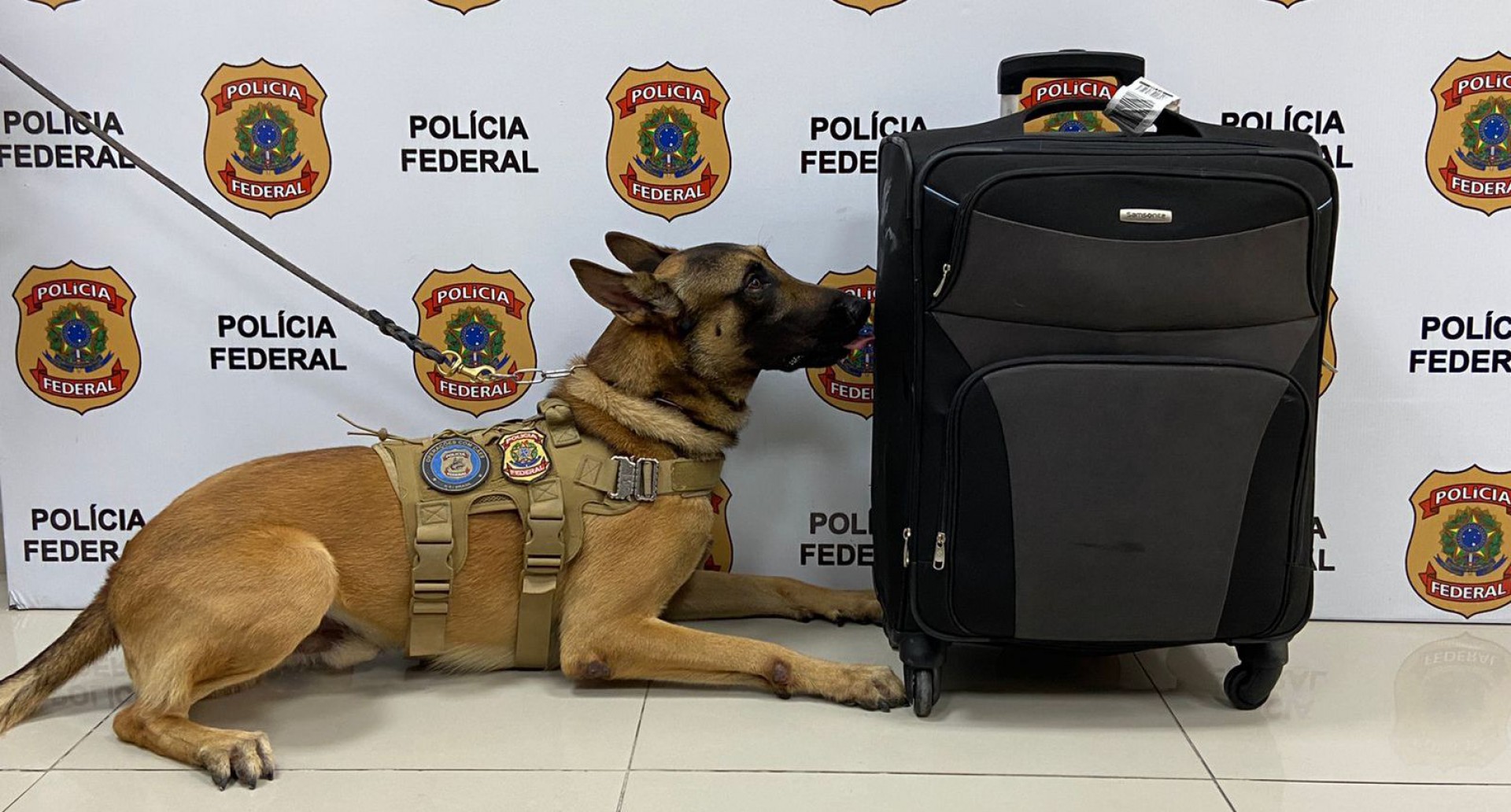 A instituição informou que em todo o ano de 2021, quinze pessoas foram flagradas no aeroporto de Fortaleza com droga para uso pessoal.  