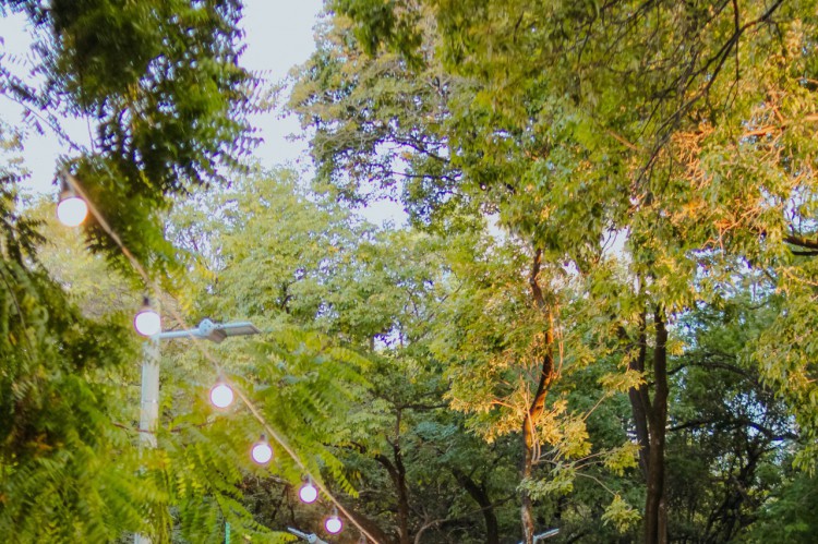 Auê Feira Criativa acontece neste final de semana em Fortaleza 