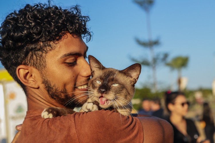 Estudo indica que ter um animal de estimação pode apresentar um impacto direto e significativo na qualidade de vida