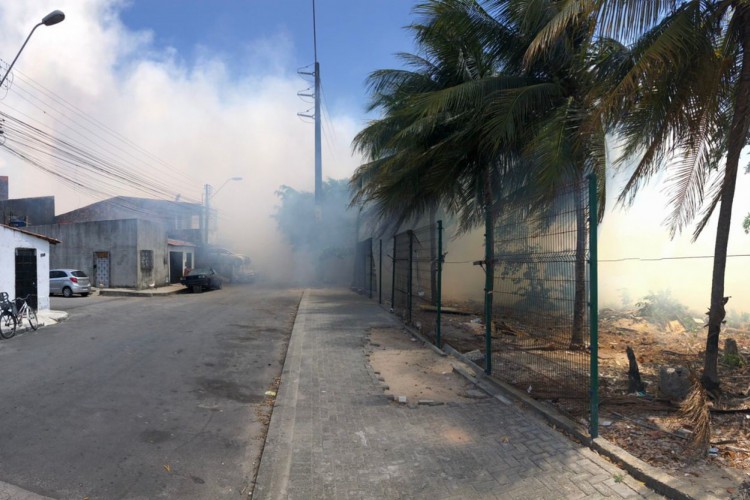 Incêndio em vegetação do Parque do Cocó nesta quarta-feira, 12, não teve vítima nem apresentou risco às residências