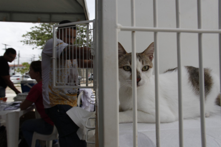 ￼CLÍNICA Jacó comemorou dois anos de atendimentos