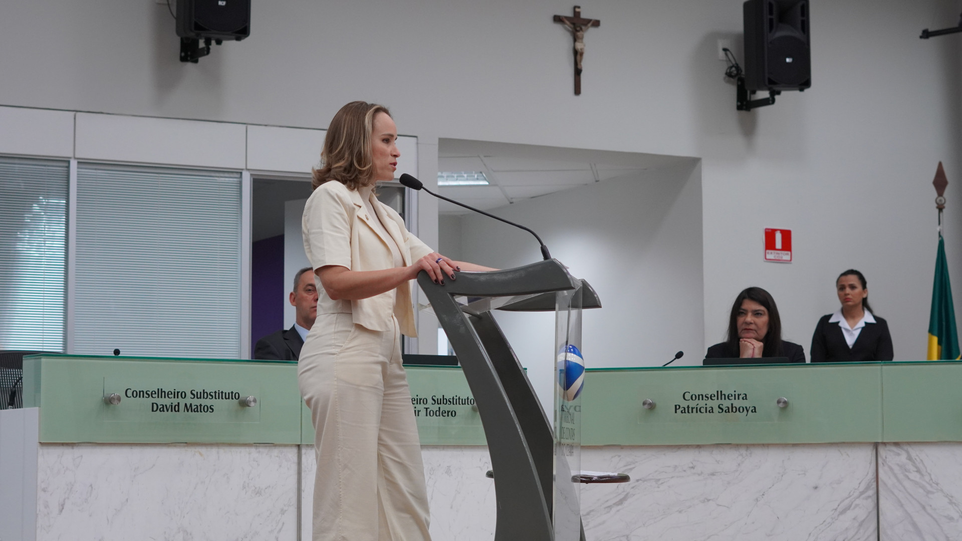 Fernanda Pacobahyba representou o Governo durante apresentação do parecer do TCE sobre as contas de 2021 do ex-governador Camilo Santana (PT).            