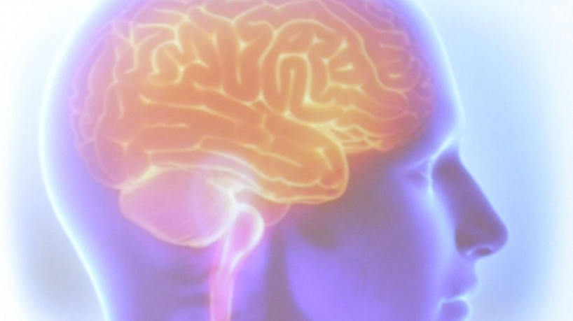 Lis Costa Ribeiro, de três anos, e Theo Costa Ribeiro, de cinco anos, registraram, respectivamente, 143 e 146 pontos no mesmo exame de QI