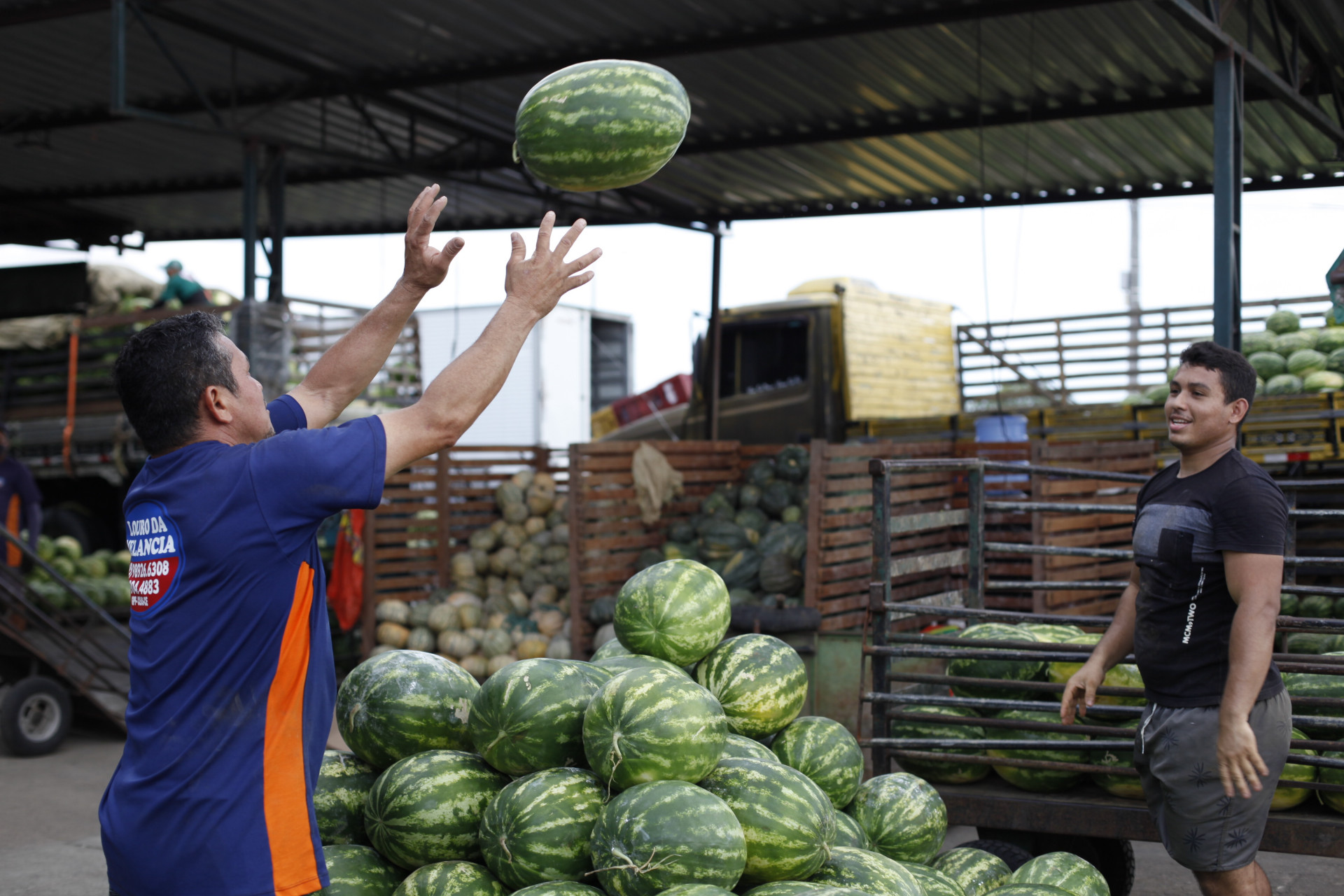 Produtos tradicionais natalinos incrementam vendas na Ceasa-CE - Centrais  de Abastecimento do Ceará - S/A