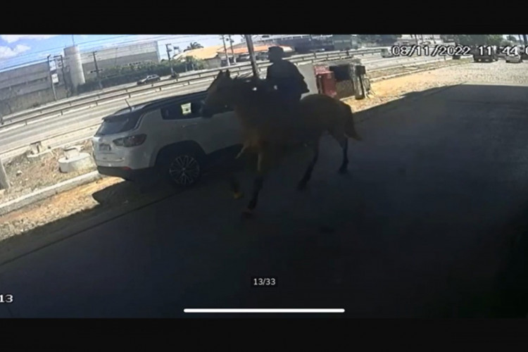 Cavalo foi furtado na terça, 8. Imagens devem ajudar na investigação
