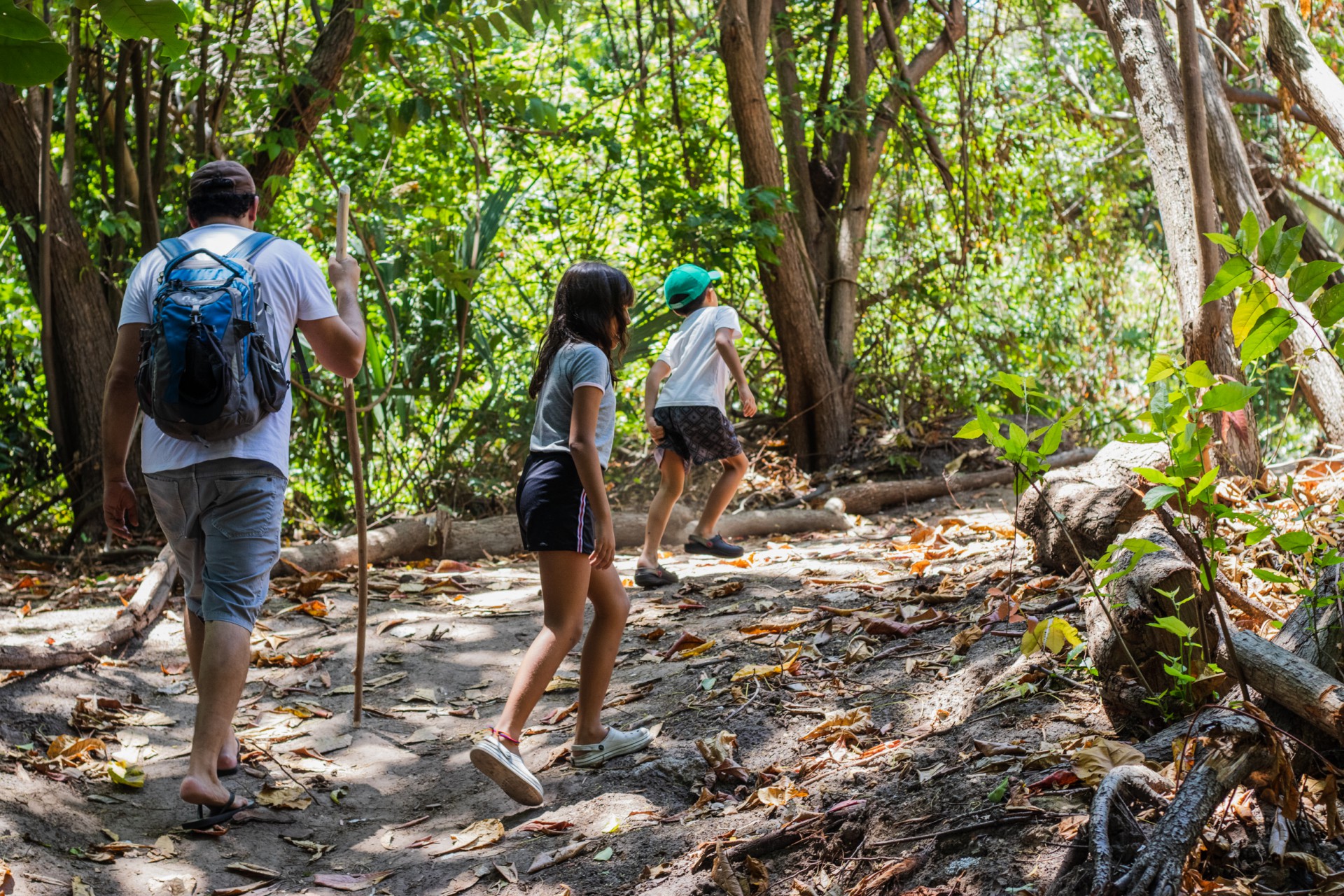 Centro Administrativo do Cambeba trilhas são