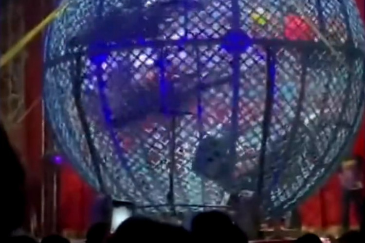 Em Colatina (ES), três de cinco pilotos ficaram levemente feriado durante show