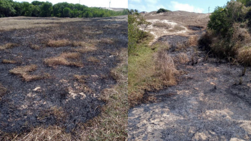 Em menos de dois meses, o Ecomuseu Natural do Mangue registrou três incêndios no manguezal da S...