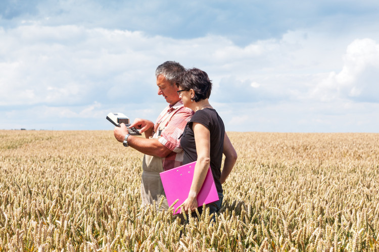 Interessados podem se inscrever até 19 de dezembro 