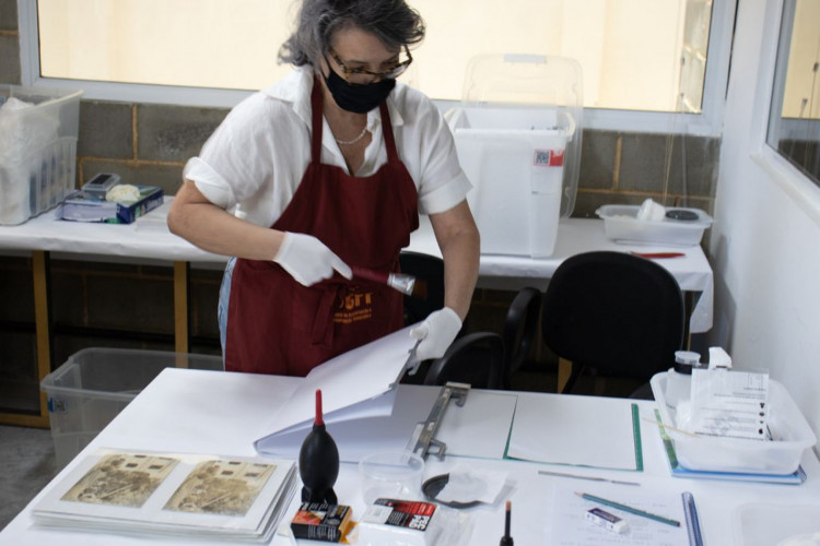 Jardim Botânico do Rio restaura acervo de 15 mil fotografias