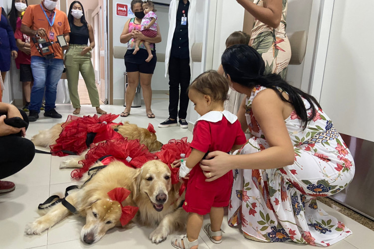 Natal das crianças internadas na ala oncológica no Hospital Infantil Luís França