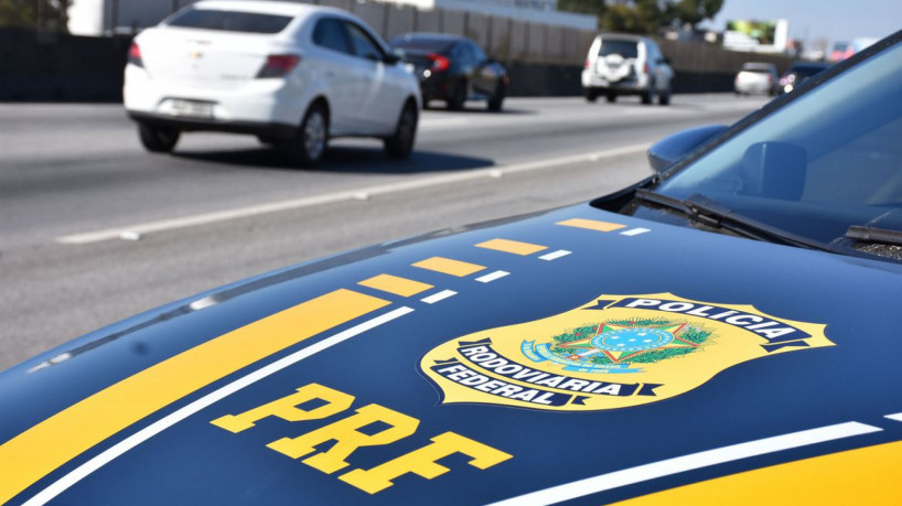 O transporte irregular ou ilegal destas aves é considerado crime contra o meio ambiente (f...