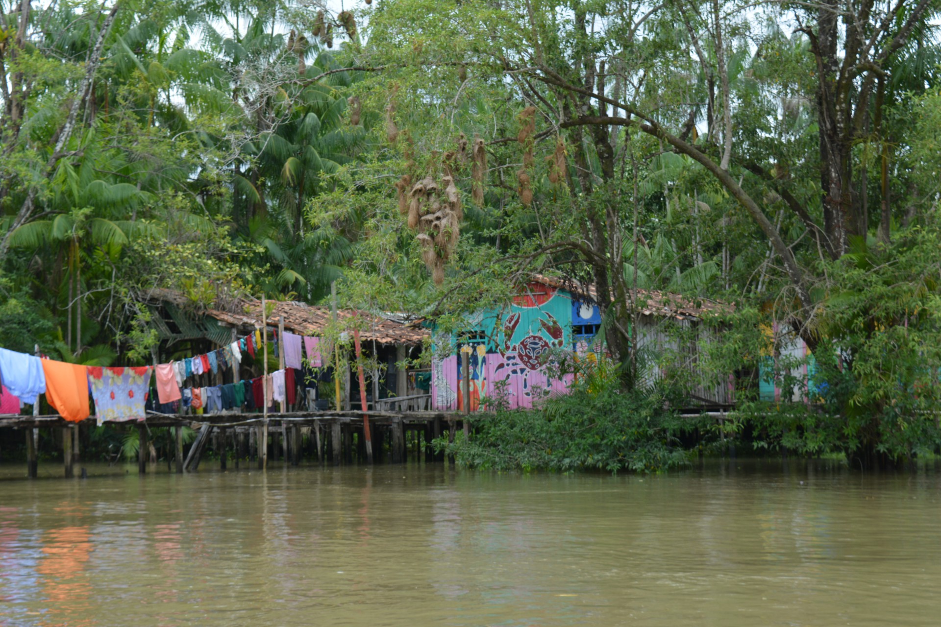 Mais de 10 casas do Combu receberam intervenções artísticas a partir do projeto Street River