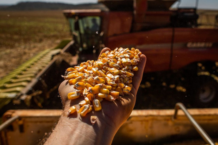 O Plano Safra financia produção agrícola no País