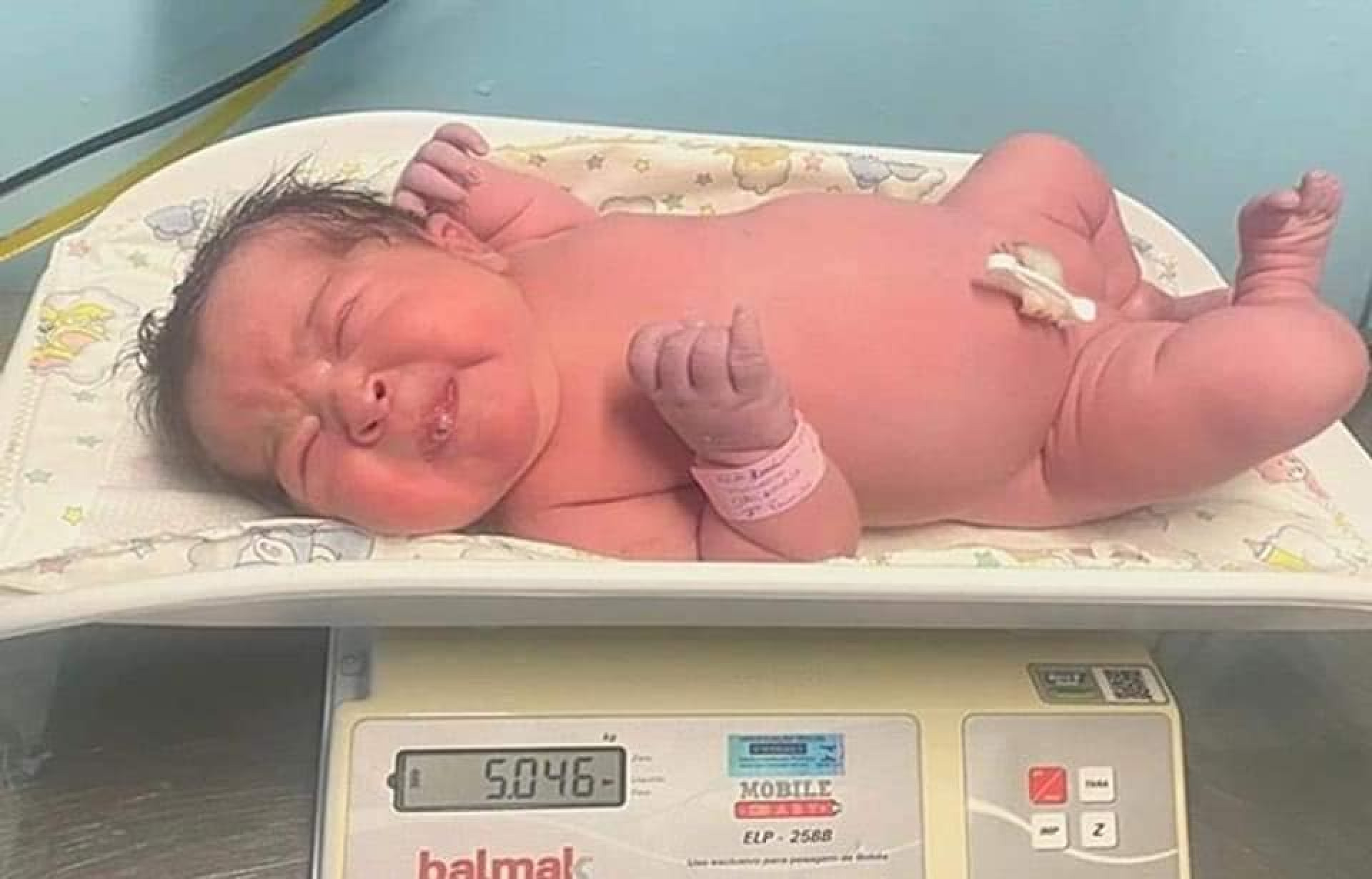 Superbebê nasce em Santa Catarina com mais de 5kg