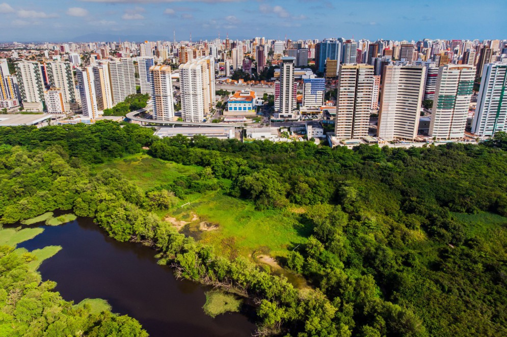 Parque do Cocó após 50 dias de quarentena durante pandemia do Coronavírus em 2020 (Foto: FCO FONTENELE)