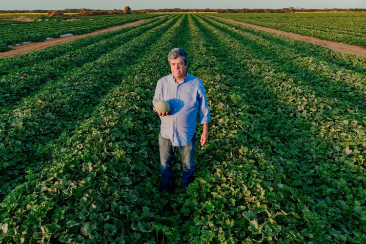 Luiz Roberto Barcelos, s&oacute;cio fundador da Agr&iacute;cola Famosa