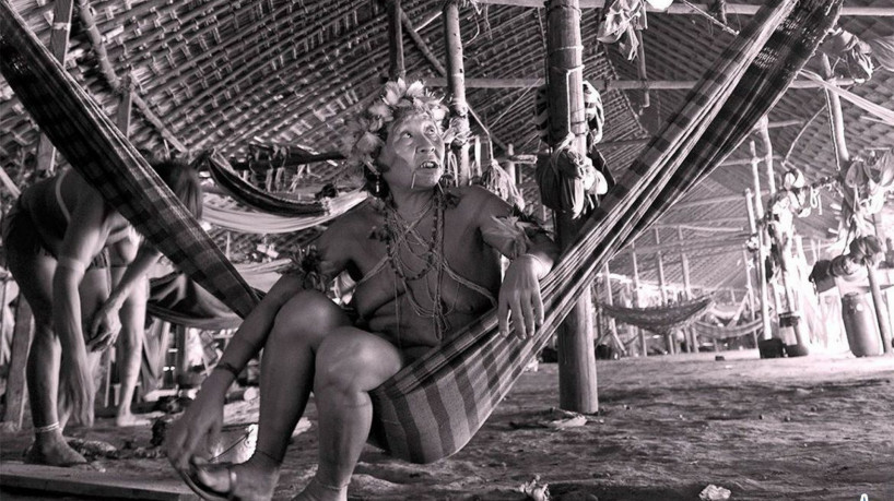 Jair Bolsonaro ignorou recomenda&ccedil;&otilde;es de &oacute;rg&atilde;os internacionais sobre situa&ccedil;&atilde;o dos povos yanomami e n&atilde;o visitou as comunidades ind&iacute;genas nos &uacute;ltimos anos, aponta Minist&eacute;rio dos Direitos Humanos e da Cidadania